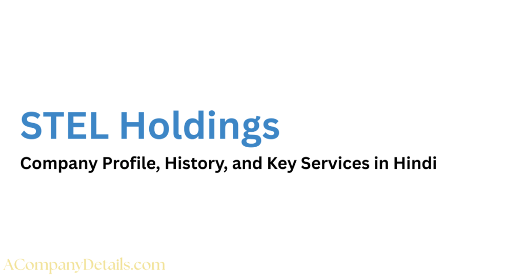 STEL Holdings company details in hindi